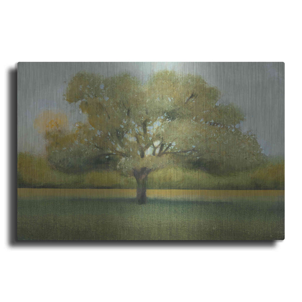 Luxe Metal Art 'Sunrise II' by Tim O'Toole, Metal Wall Art