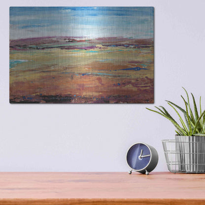 Luxe Metal Art 'Terra Vista I' by Tim O'Toole, Metal Wall Art,16x12