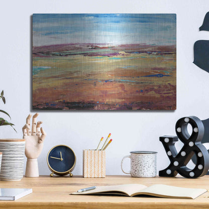 Luxe Metal Art 'Terra Vista I' by Tim O'Toole, Metal Wall Art,16x12