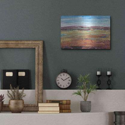 Luxe Metal Art 'Terra Vista I' by Tim O'Toole, Metal Wall Art,16x12
