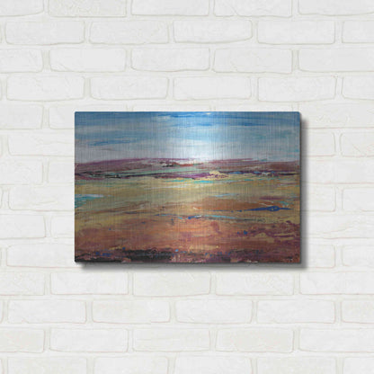 Luxe Metal Art 'Terra Vista I' by Tim O'Toole, Metal Wall Art,24x16