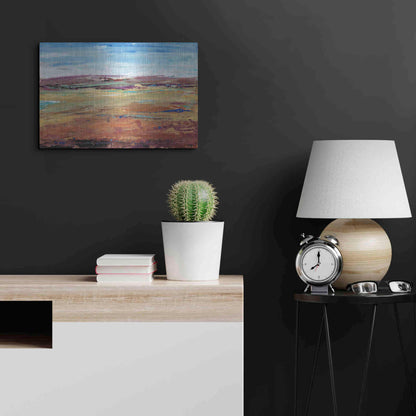 Luxe Metal Art 'Terra Vista I' by Tim O'Toole, Metal Wall Art,24x16