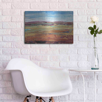 Luxe Metal Art 'Terra Vista I' by Tim O'Toole, Metal Wall Art,24x16