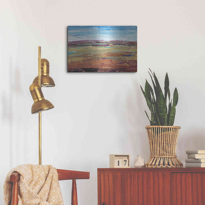 Luxe Metal Art 'Terra Vista I' by Tim O'Toole, Metal Wall Art,24x16