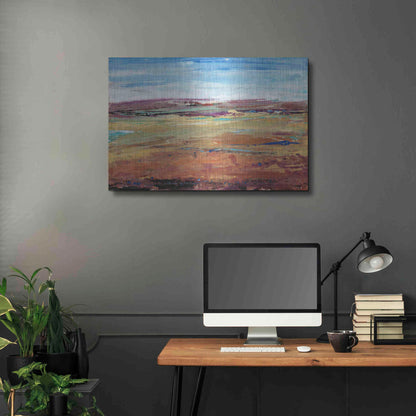 Luxe Metal Art 'Terra Vista I' by Tim O'Toole, Metal Wall Art,36x24