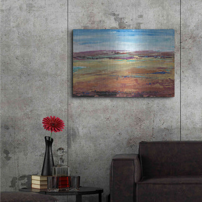 Luxe Metal Art 'Terra Vista I' by Tim O'Toole, Metal Wall Art,36x24