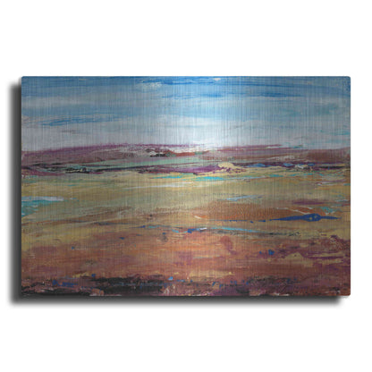 Luxe Metal Art 'Terra Vista I' by Tim O'Toole, Metal Wall Art