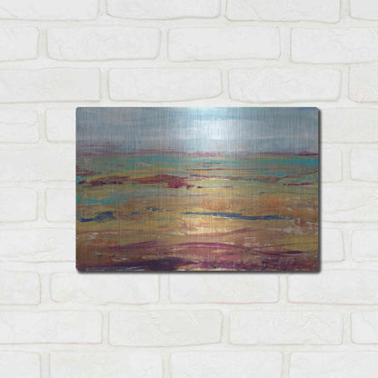 Luxe Metal Art 'Terra Vista II' by Tim O'Toole, Metal Wall Art,16x12