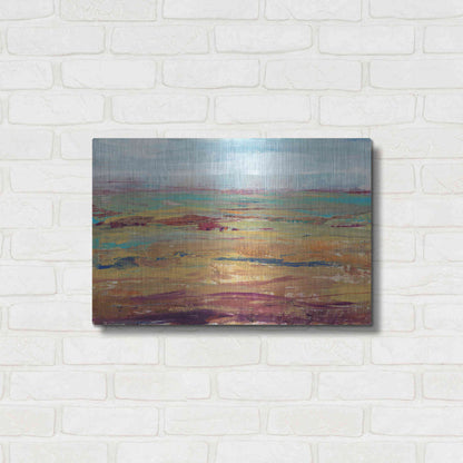 Luxe Metal Art 'Terra Vista II' by Tim O'Toole, Metal Wall Art,24x16