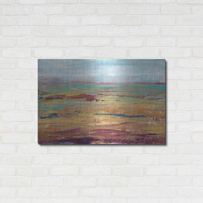 Luxe Metal Art 'Terra Vista II' by Tim O'Toole, Metal Wall Art,36x24