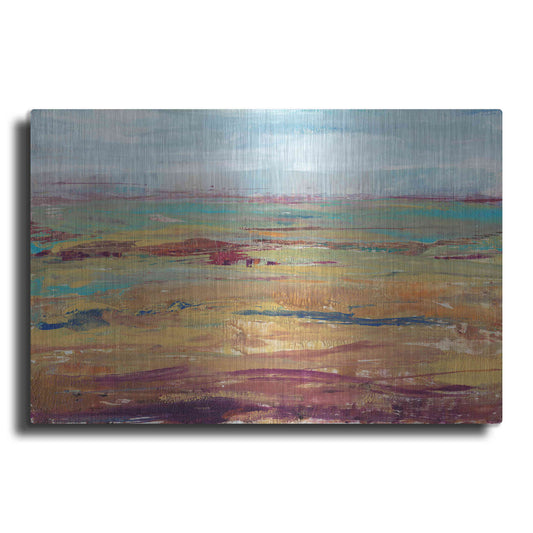Luxe Metal Art 'Terra Vista II' by Tim O'Toole, Metal Wall Art