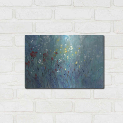 Luxe Metal Art 'Blue Vision II' by Tim O'Toole, Metal Wall Art,16x12