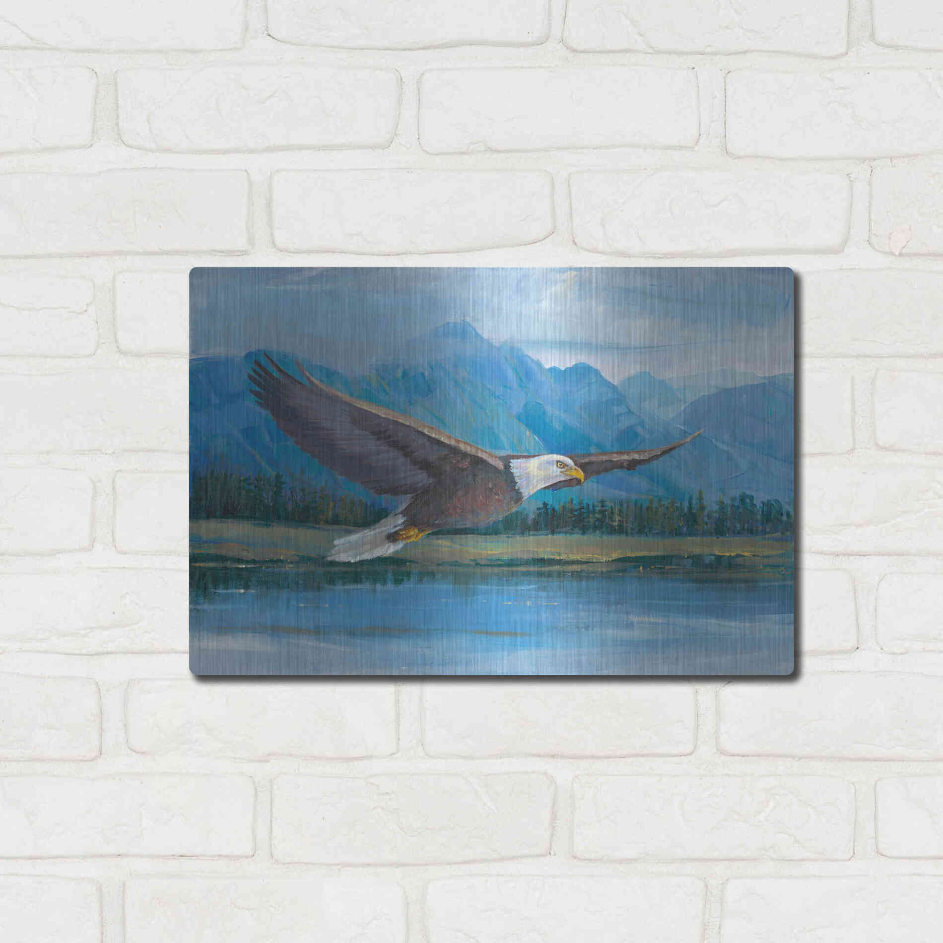 Luxe Metal Art 'Eagle Soaring' by Tim O'Toole, Metal Wall Art,16x12