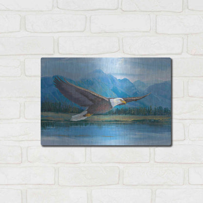 Luxe Metal Art 'Eagle Soaring' by Tim O'Toole, Metal Wall Art,16x12