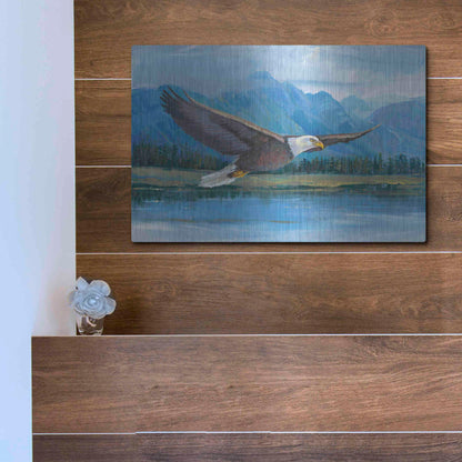 Luxe Metal Art 'Eagle Soaring' by Tim O'Toole, Metal Wall Art,16x12