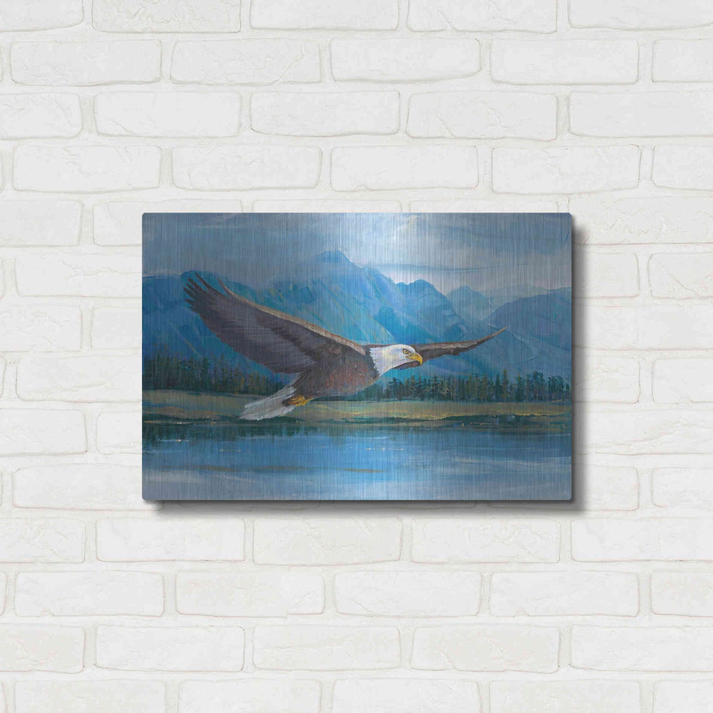 Luxe Metal Art 'Eagle Soaring' by Tim O'Toole, Metal Wall Art,24x16