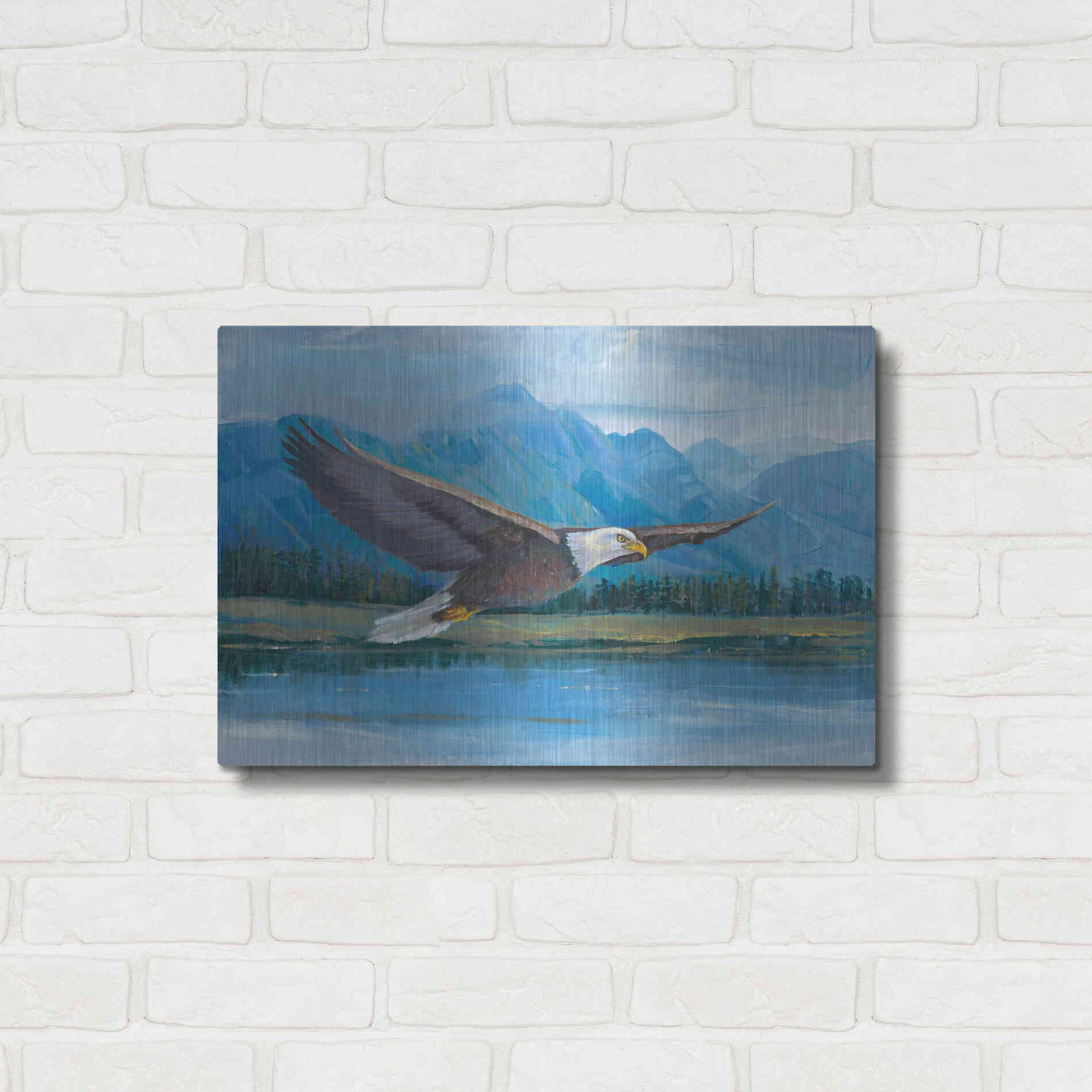 Luxe Metal Art 'Eagle Soaring' by Tim O'Toole, Metal Wall Art,24x16