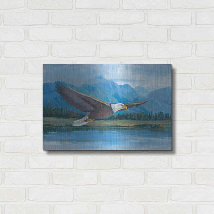 Luxe Metal Art 'Eagle Soaring' by Tim O'Toole, Metal Wall Art,24x16