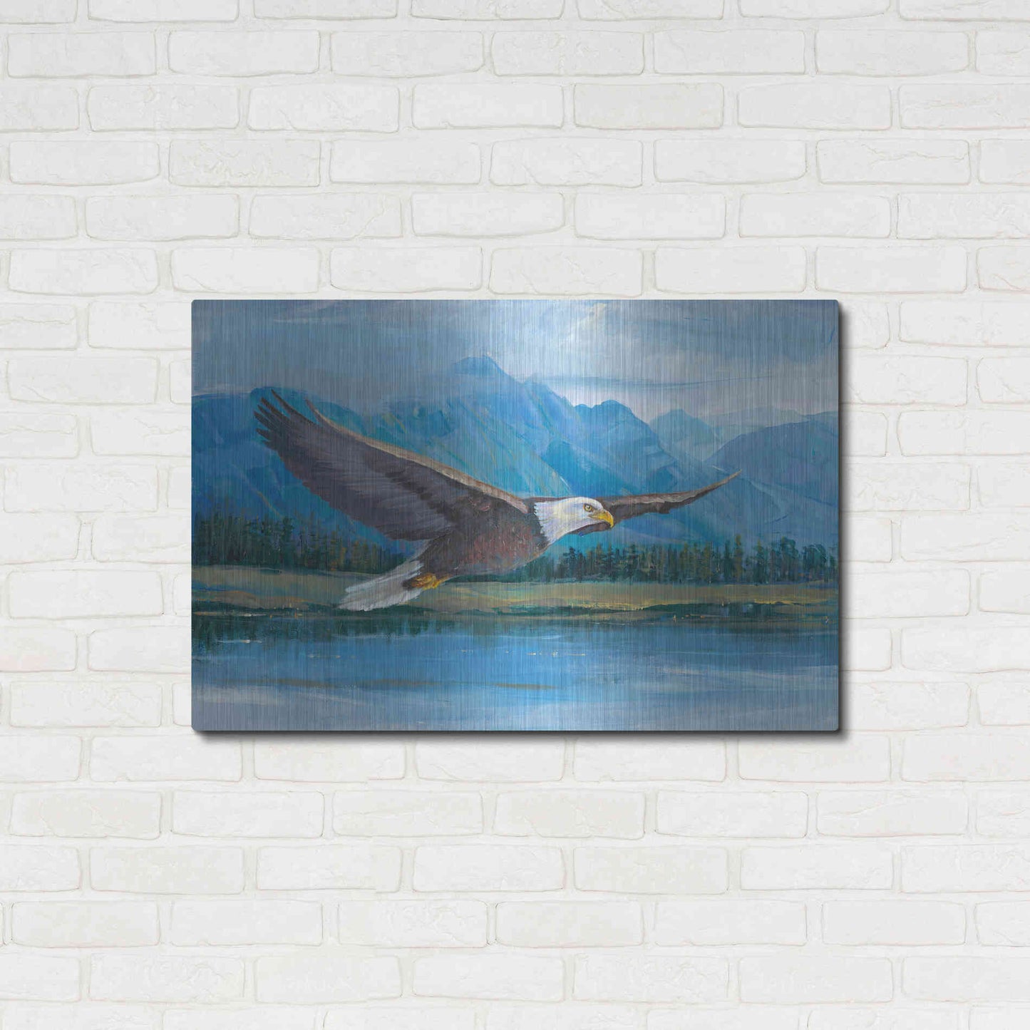 Luxe Metal Art 'Eagle Soaring' by Tim O'Toole, Metal Wall Art,36x24