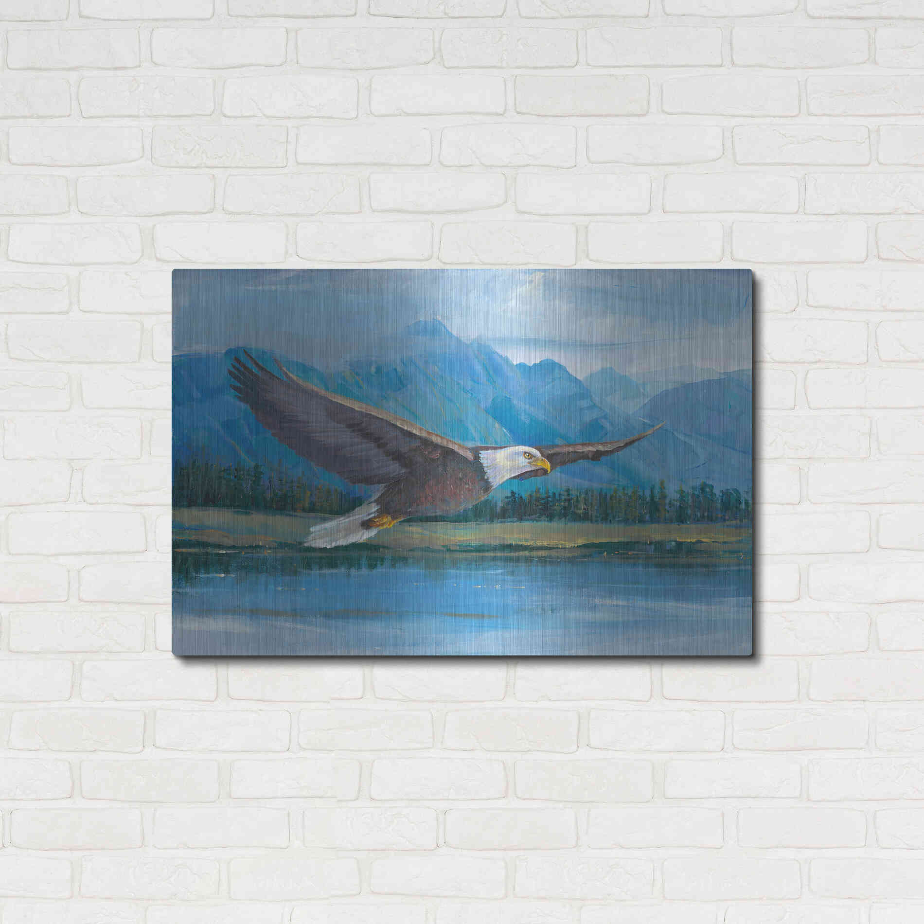 Luxe Metal Art 'Eagle Soaring' by Tim O'Toole, Metal Wall Art,36x24