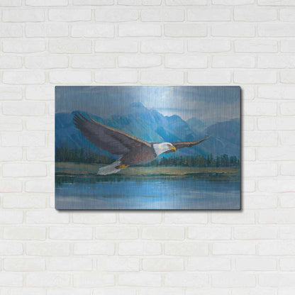 Luxe Metal Art 'Eagle Soaring' by Tim O'Toole, Metal Wall Art,36x24