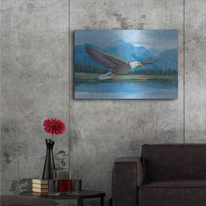 Luxe Metal Art 'Eagle Soaring' by Tim O'Toole, Metal Wall Art,36x24