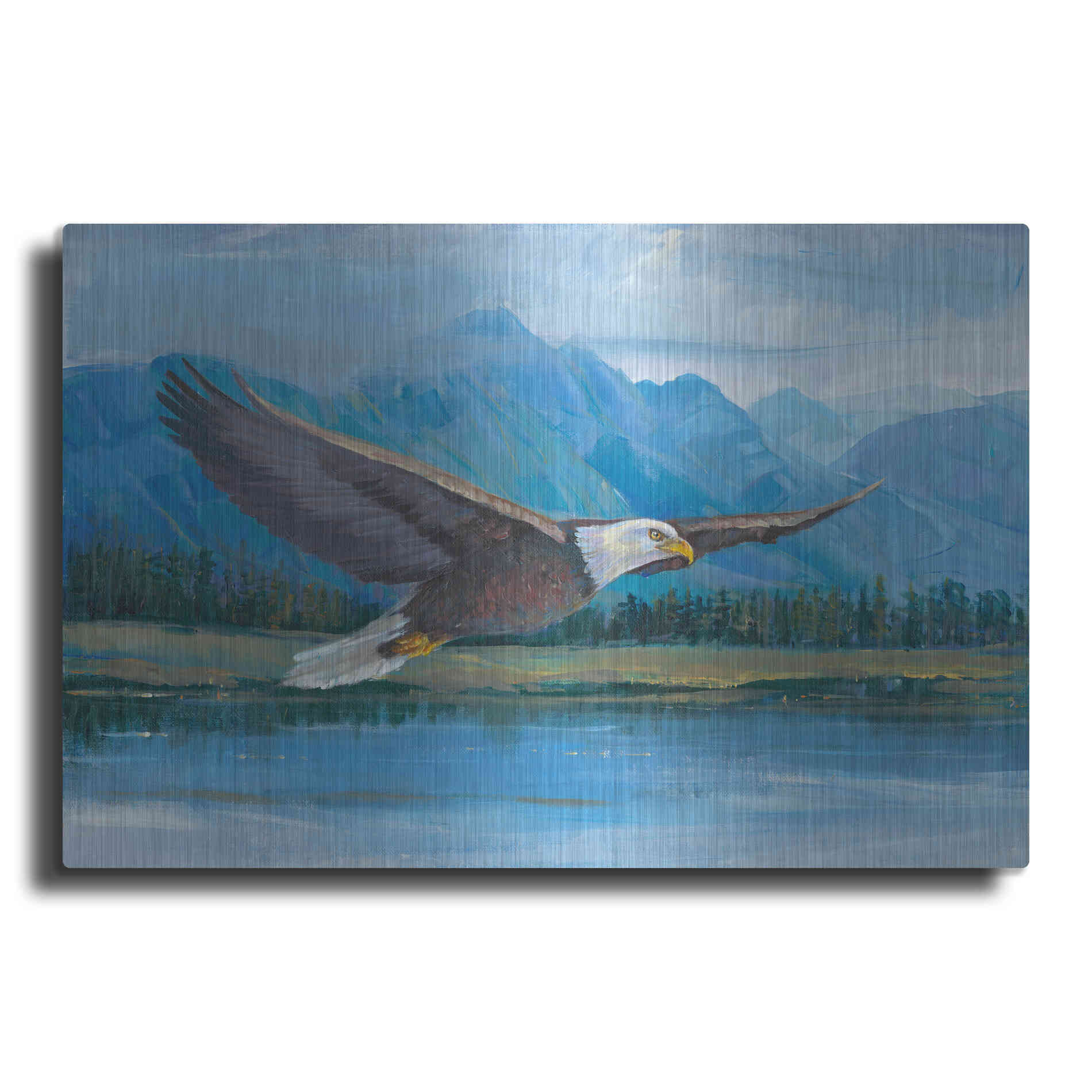 Luxe Metal Art 'Eagle Soaring' by Tim O'Toole, Metal Wall Art