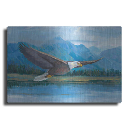 Luxe Metal Art 'Eagle Soaring' by Tim O'Toole, Metal Wall Art