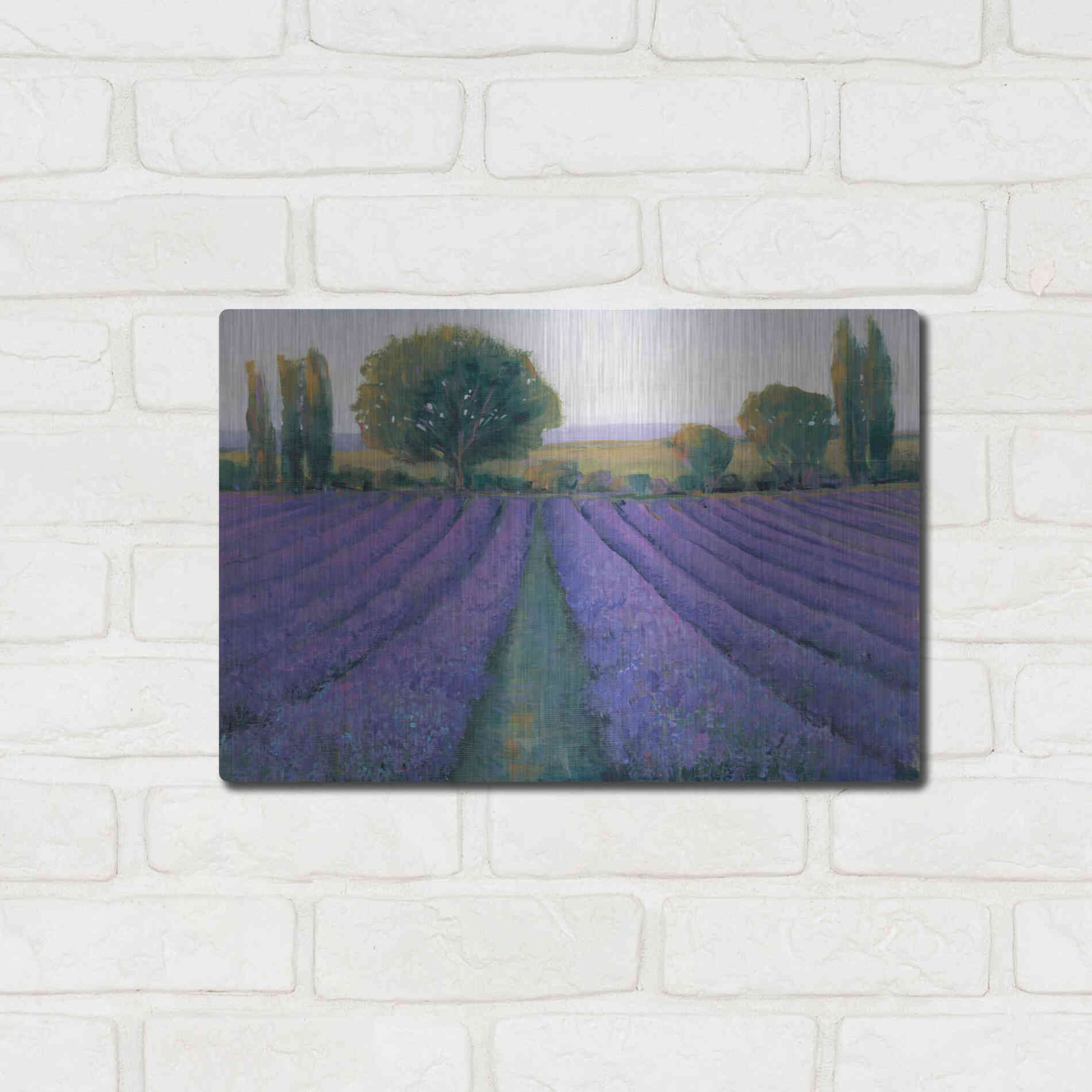 Luxe Metal Art 'Lavender Field II' by Tim O'Toole, Metal Wall Art,16x12