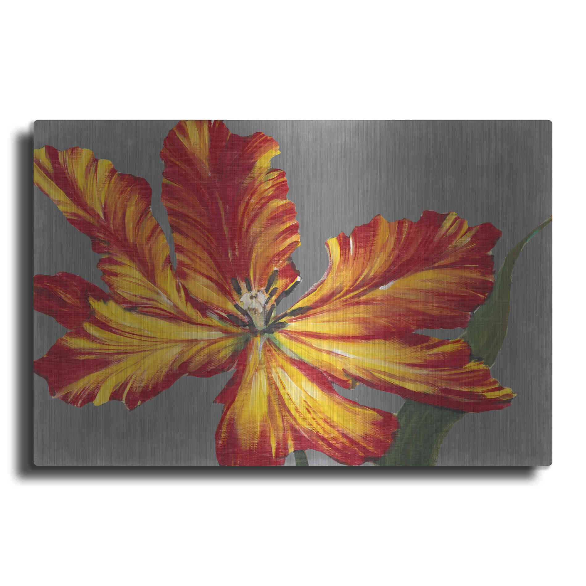 Luxe Metal Art 'Tulip Portrait II' by Tim O'Toole, Metal Wall Art