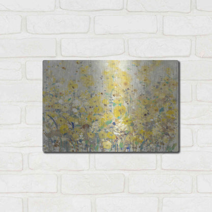 Luxe Metal Art 'Cheerful Garden I' by Tim O'Toole, Metal Wall Art,16x12