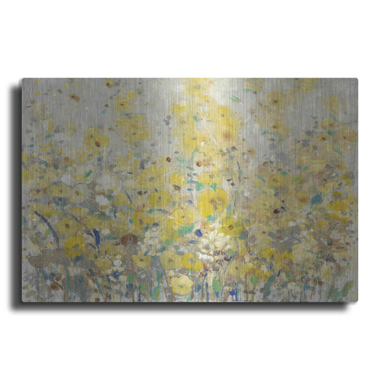 Luxe Metal Art 'Cheerful Garden I' by Tim O'Toole, Metal Wall Art