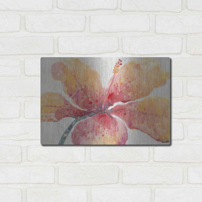 Luxe Metal Art 'Blooming Hibiscus' by Tim O'Toole, Metal Wall Art,16x12