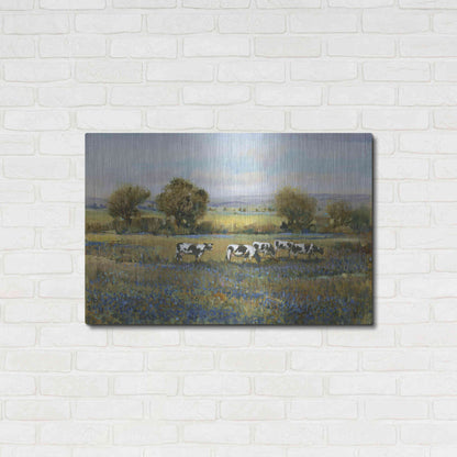 Luxe Metal Art 'Field of Cattle I' by Tim O'Toole, Metal Wall Art,36x24