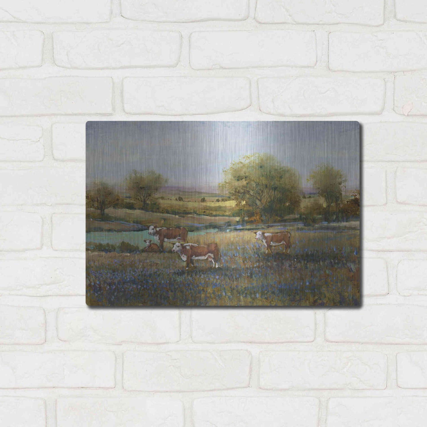 Luxe Metal Art 'Field of Cattle II' by Tim O'Toole, Metal Wall Art,16x12