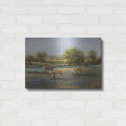 Luxe Metal Art 'Field of Cattle II' by Tim O'Toole, Metal Wall Art,24x16