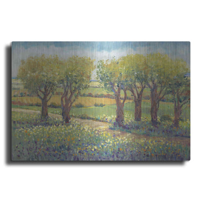 Luxe Metal Art 'Garden Path I' by Tim O'Toole, Metal Wall Art