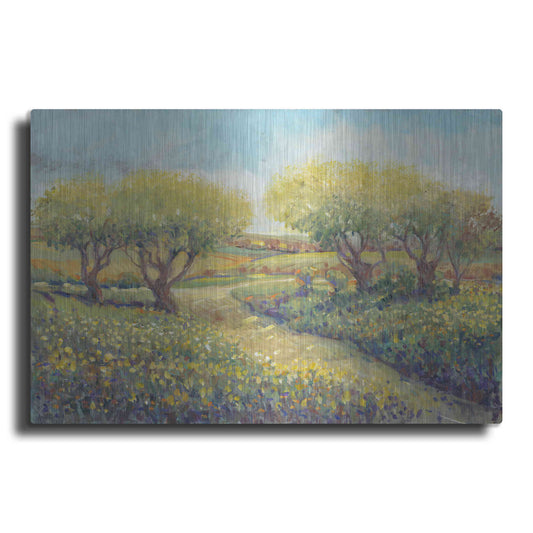 Luxe Metal Art 'Garden Path II' by Tim O'Toole, Metal Wall Art