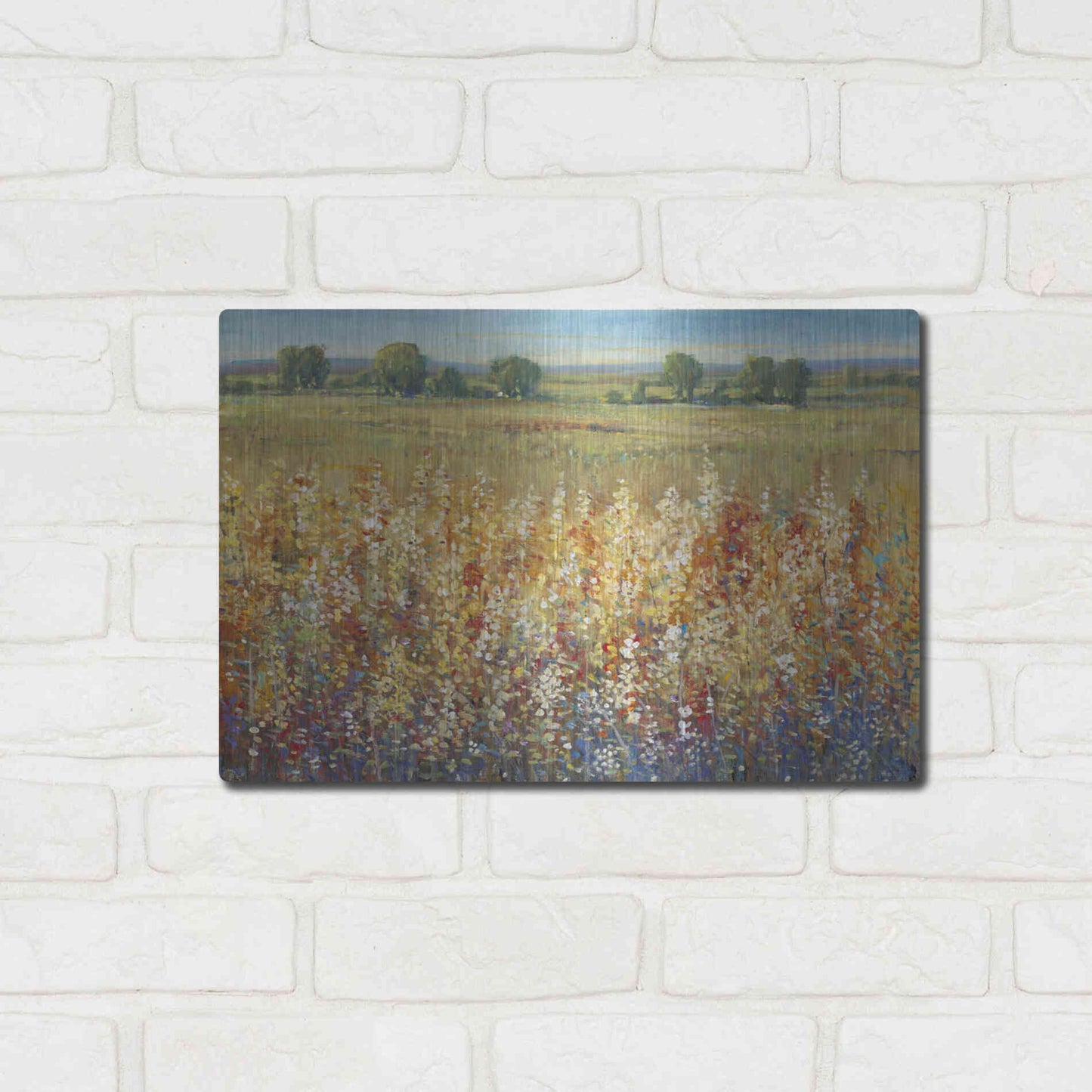 Luxe Metal Art 'Gold and Red Field I' by Tim O'Toole, Metal Wall Art,16x12
