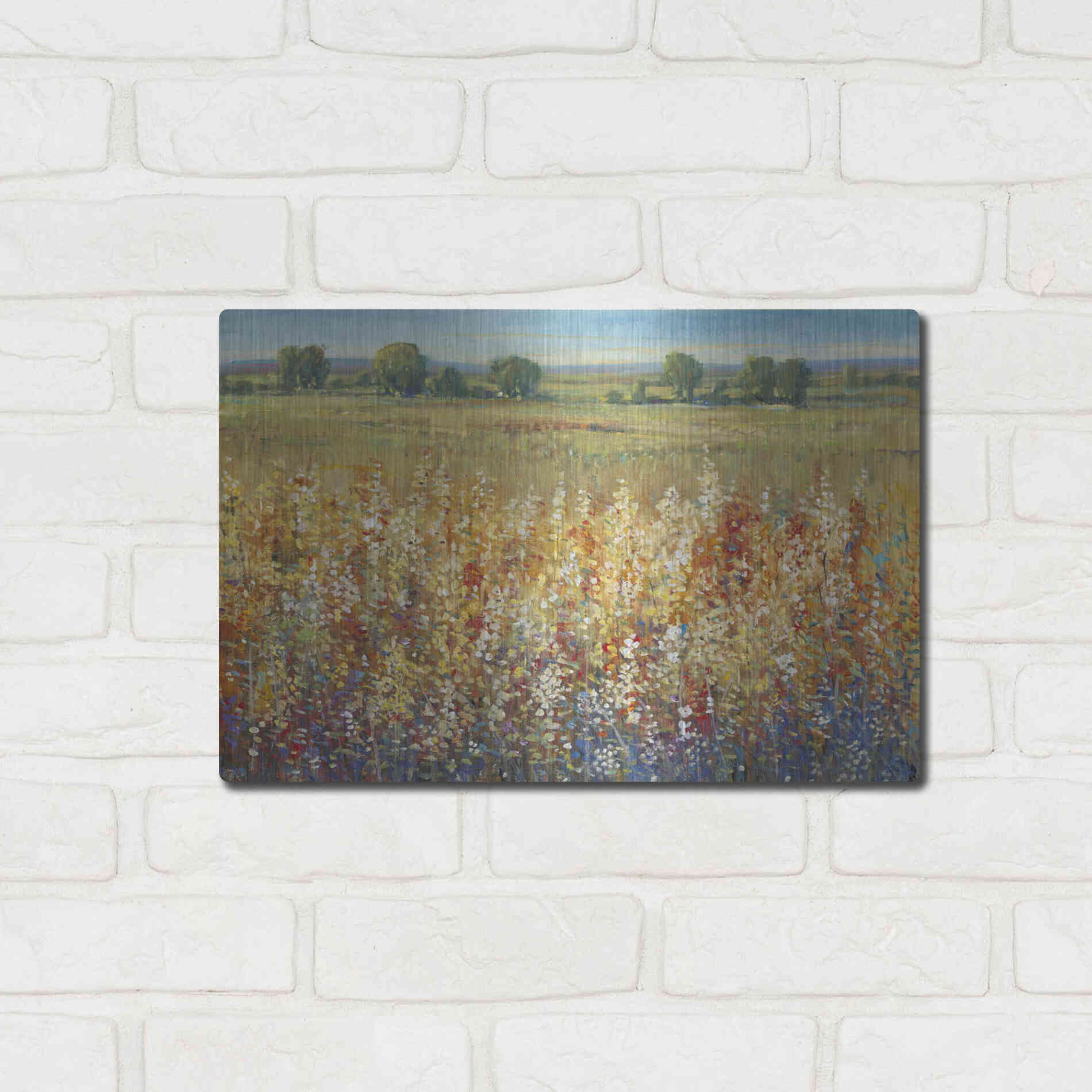 Luxe Metal Art 'Gold and Red Field I' by Tim O'Toole, Metal Wall Art,16x12