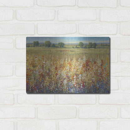 Luxe Metal Art 'Gold and Red Field I' by Tim O'Toole, Metal Wall Art,16x12