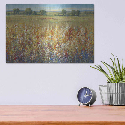 Luxe Metal Art 'Gold and Red Field I' by Tim O'Toole, Metal Wall Art,16x12