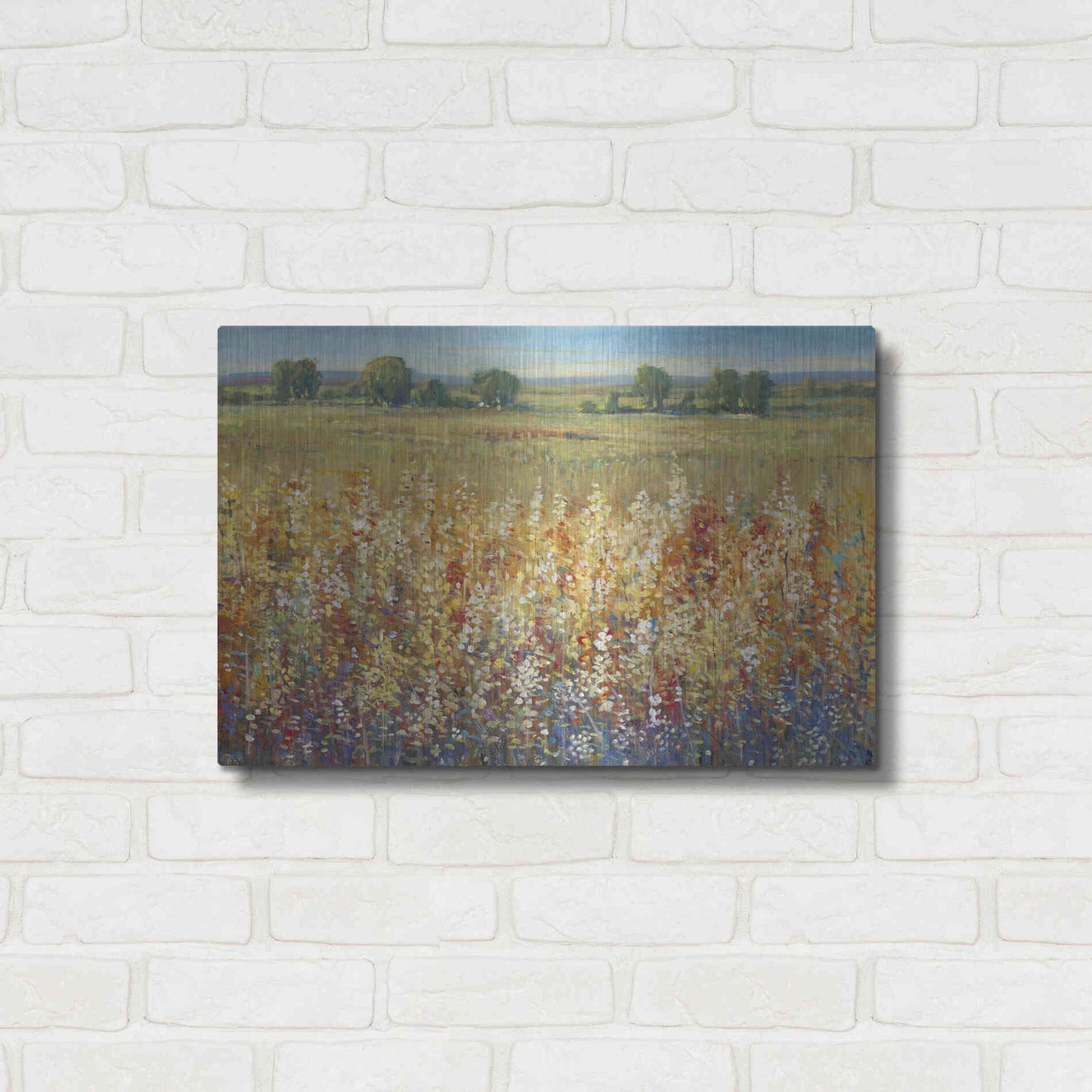 Luxe Metal Art 'Gold and Red Field I' by Tim O'Toole, Metal Wall Art,24x16