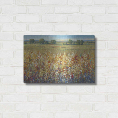 Luxe Metal Art 'Gold and Red Field I' by Tim O'Toole, Metal Wall Art,24x16