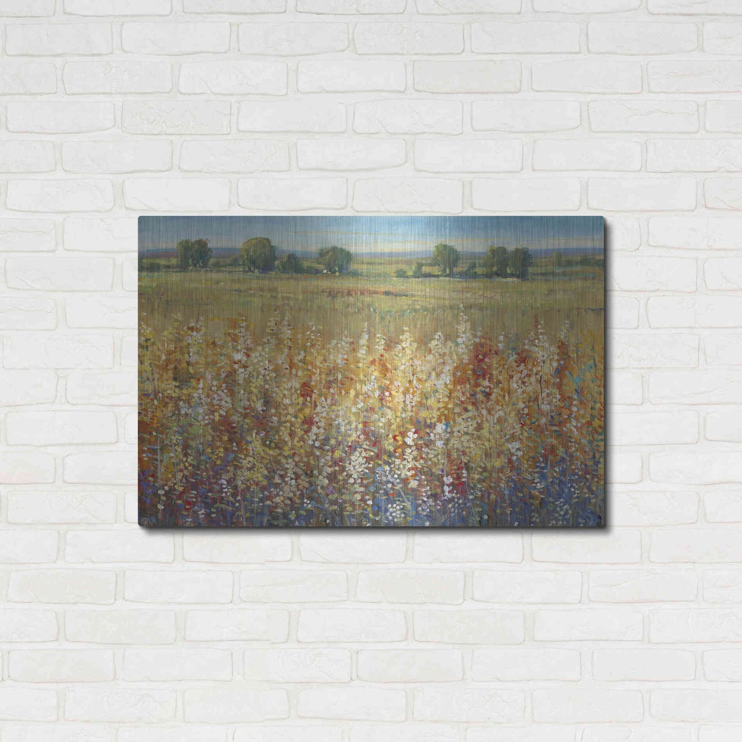 Luxe Metal Art 'Gold and Red Field I' by Tim O'Toole, Metal Wall Art,36x24