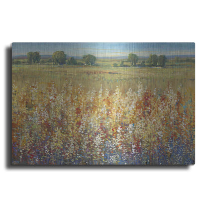 Luxe Metal Art 'Gold and Red Field I' by Tim O'Toole, Metal Wall Art