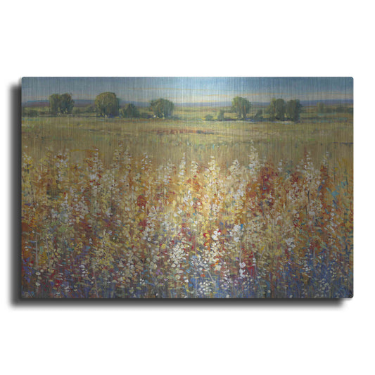 Luxe Metal Art 'Gold and Red Field I' by Tim O'Toole, Metal Wall Art