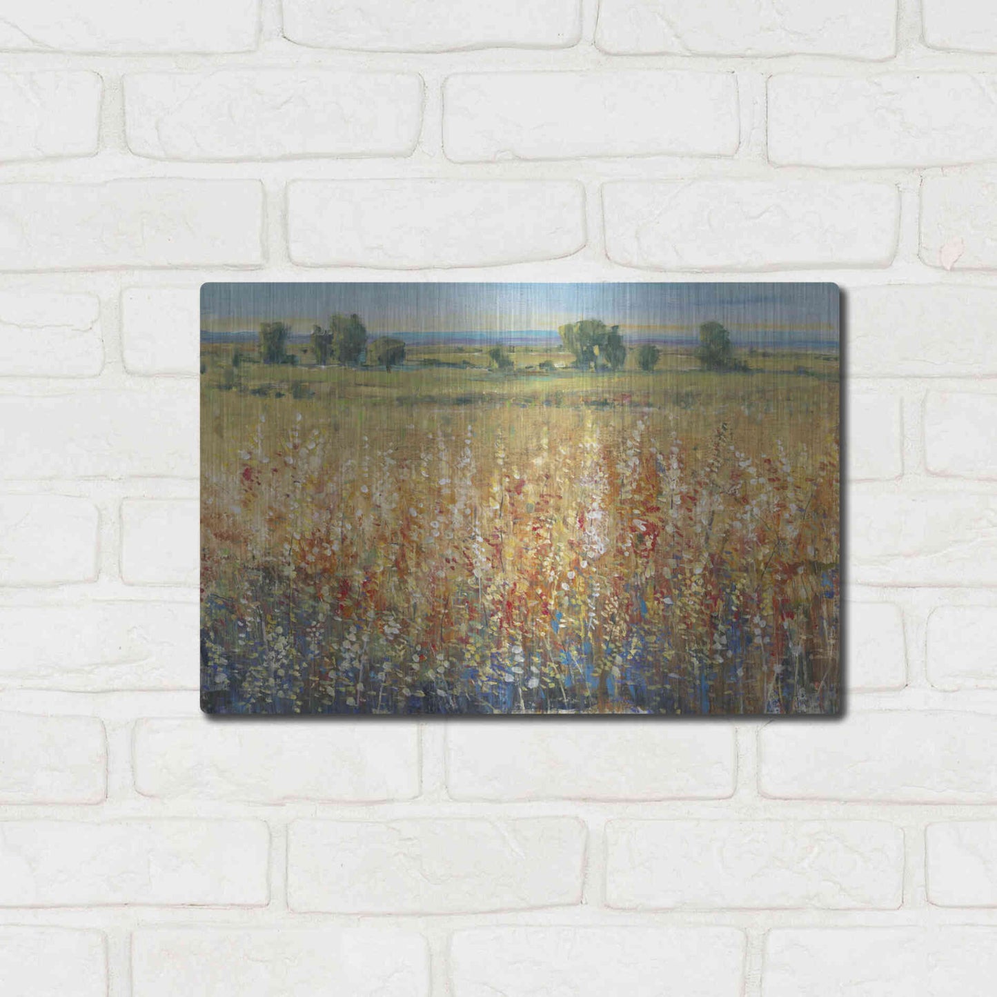 Luxe Metal Art 'Gold and Red Field II' by Tim O'Toole, Metal Wall Art,16x12