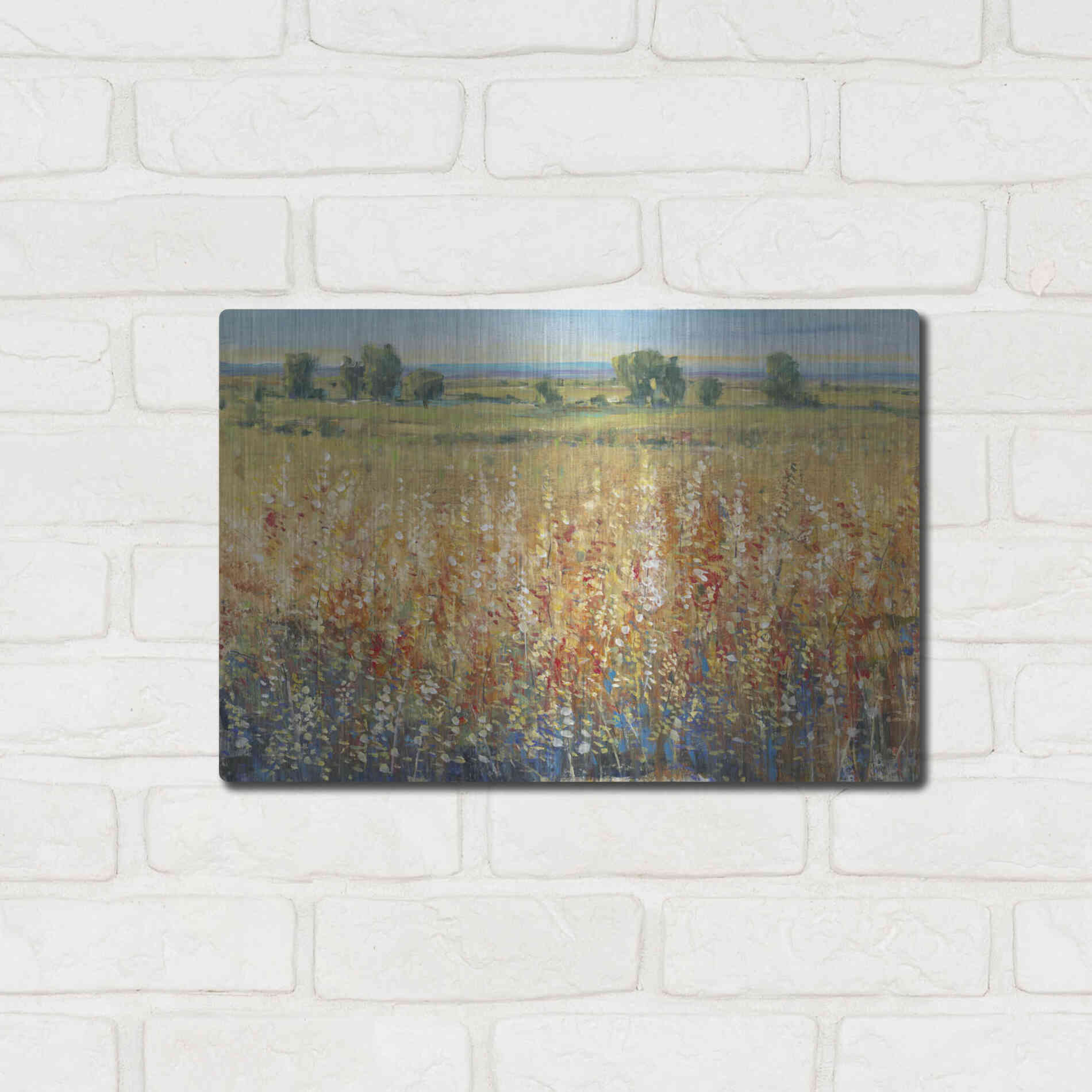 Luxe Metal Art 'Gold and Red Field II' by Tim O'Toole, Metal Wall Art,16x12