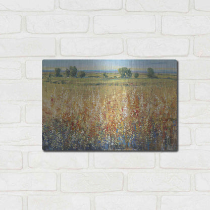 Luxe Metal Art 'Gold and Red Field II' by Tim O'Toole, Metal Wall Art,16x12